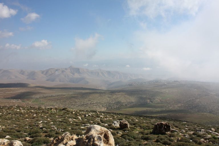 Field In the Negev Israel